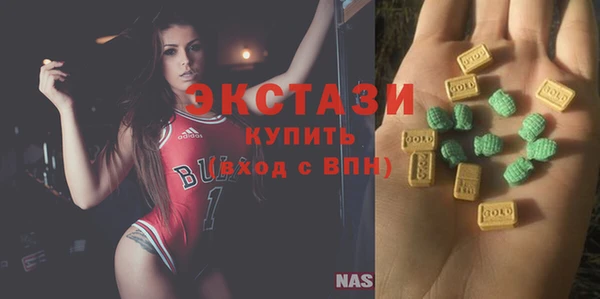 ECSTASY Богданович