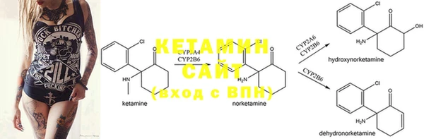 ECSTASY Богданович